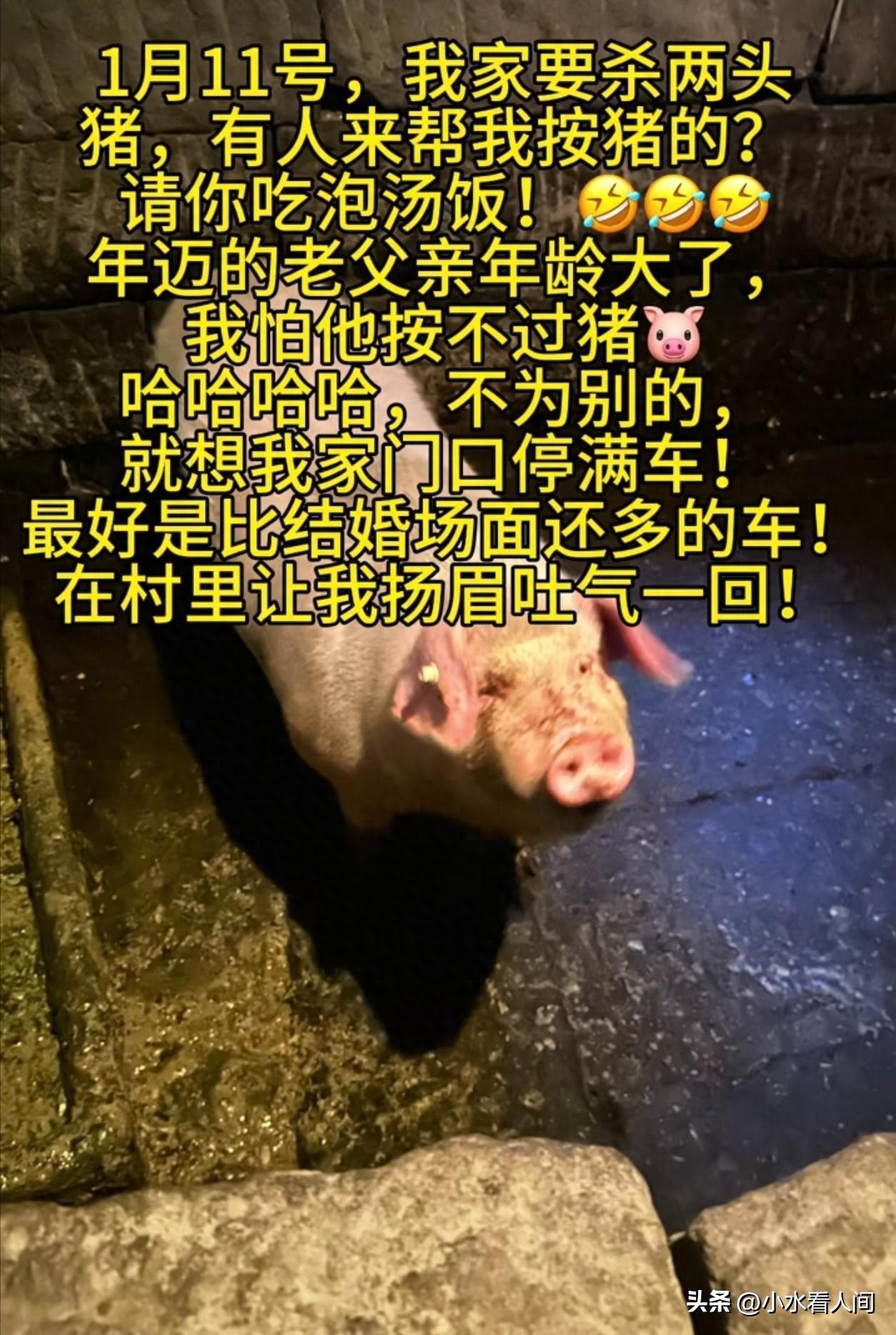 开云APP-呆呆赢麻了！直播收入惊人，榜一大哥上门邀约，相亲对象后悔莫及