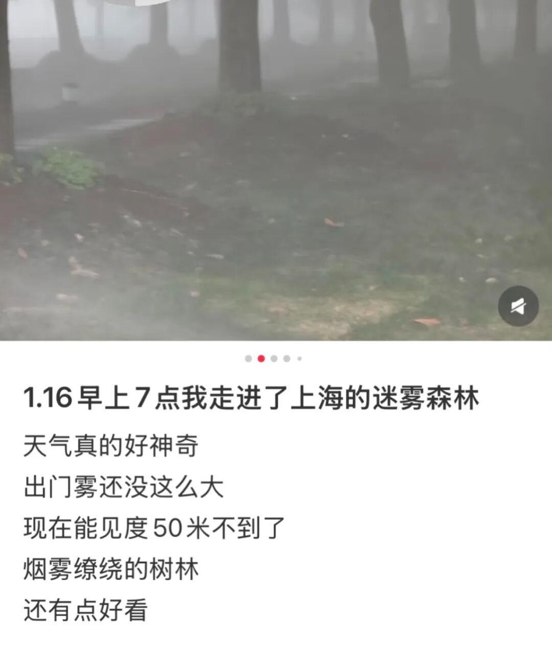 开云APP-上海:入冬以来最强雨雪冰冻将袭!网友:没见过这么大雾,路口竟看不到红绿灯!