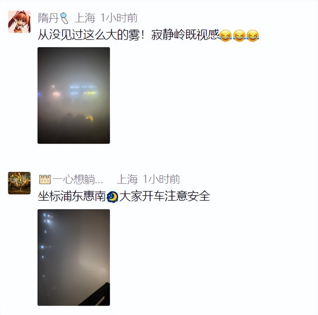 开云APP-上海:入冬以来最强雨雪冰冻将袭!网友:没见过这么大雾,路口竟看不到红绿灯!