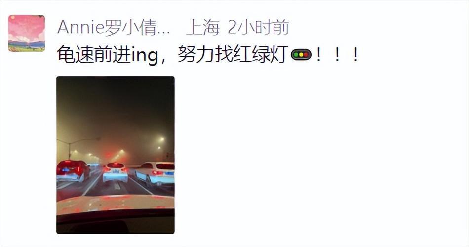 开云APP-上海:入冬以来最强雨雪冰冻将袭!网友:没见过这么大雾,路口竟看不到红绿灯!