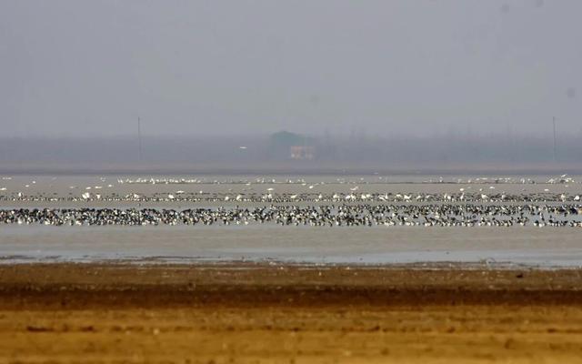 开云登录-新闻8点见丨争冠！U23国足进军亚洲杯决赛；北京迈入“五万亿之城”